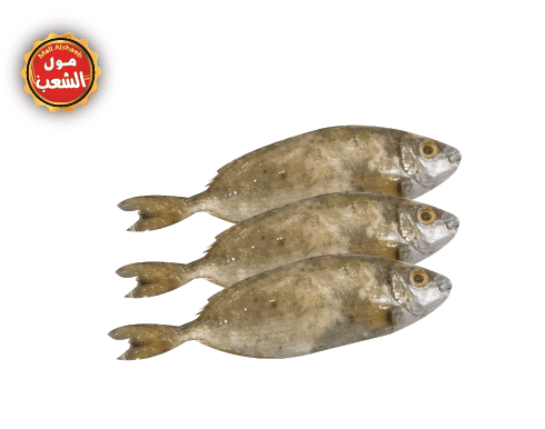 سمك سيجان صغير