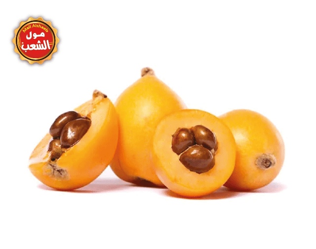 اسكدنيا