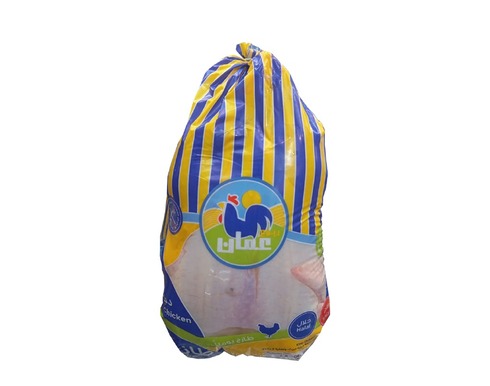 دجاج ربوع عمان طازج