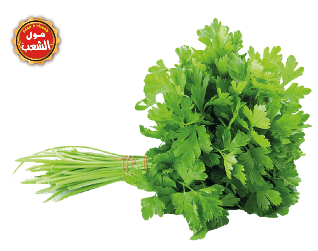 بقدونس